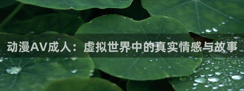 里番风车动漫