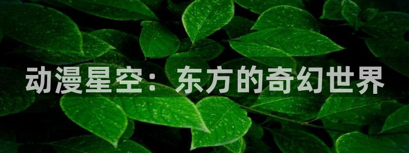 日本漫画大全里番：动漫星空：东方的奇幻世界