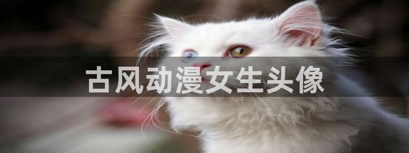 里番漫画免费在线：古风动漫女生头像