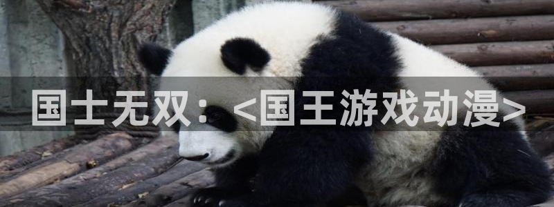 里番动漫在线看免费观看