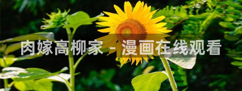 雷火剑里番动漫