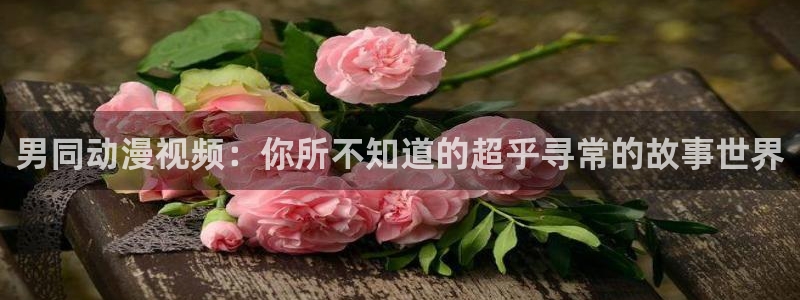 里番有哪些动漫
