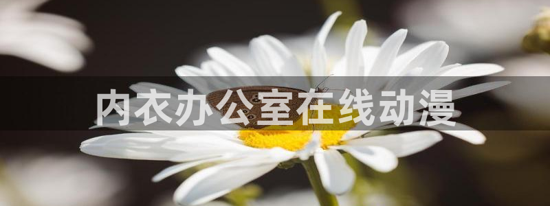 日本动漫里番漫画：内衣办公室在线动漫