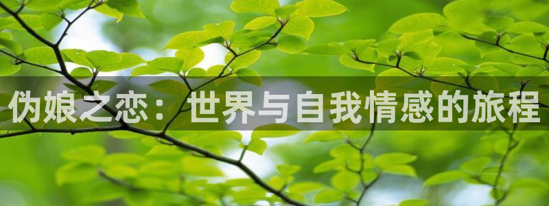 涩里番漫画软件：伪娘之恋：世界与自我情感的旅程