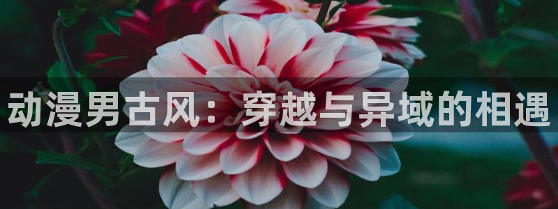 最新动漫里番：动漫男古风：穿越与异域的相遇